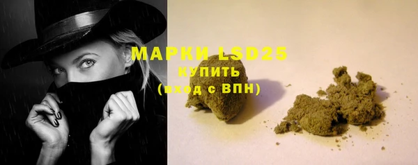 индика Абаза