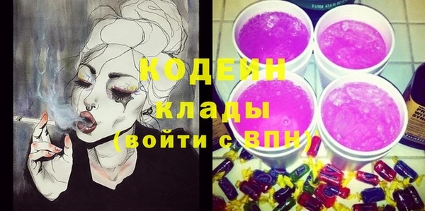 индика Абаза